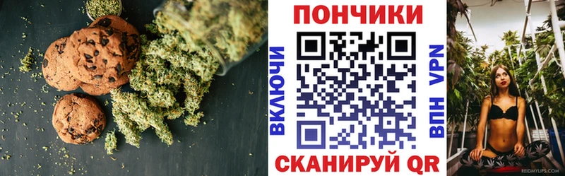 продажа наркотиков  Новая Ладога  Еда ТГК марихуана 